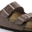 Birkenstock - Arizona Birkbuc Regular - Mocca